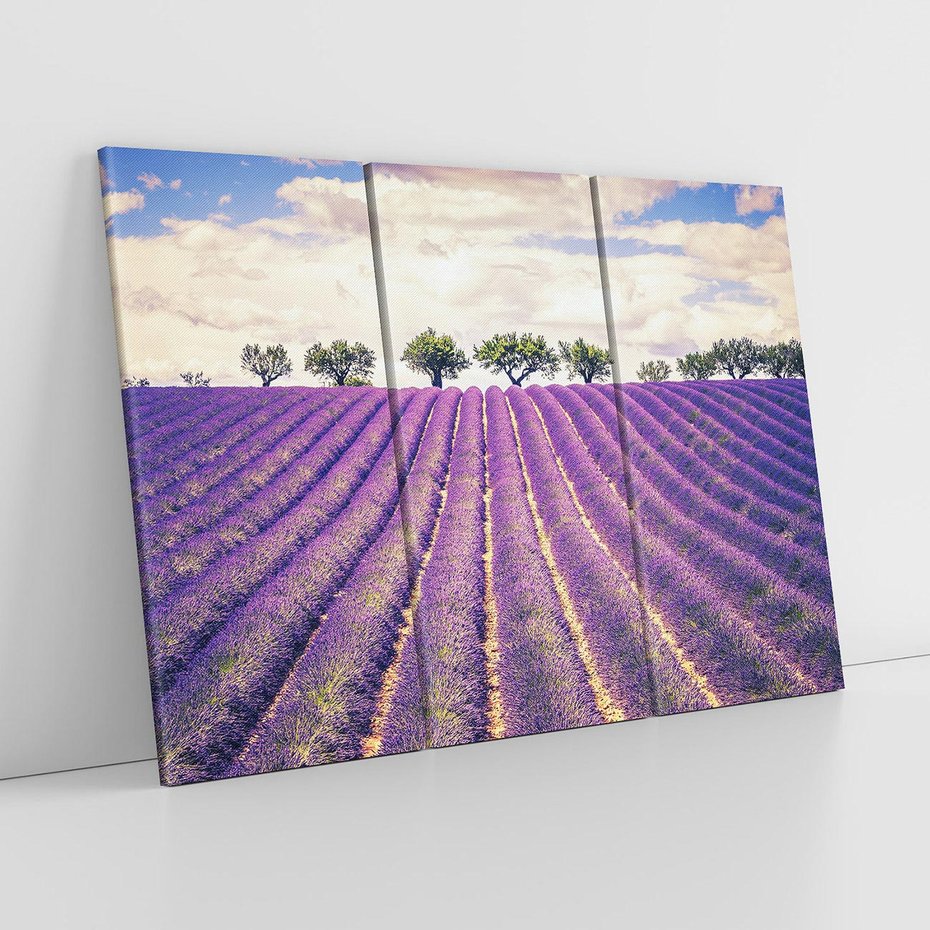 Obraz na płótnie 120x80 - Uroda Lawendy: Kwiatowy Cud Natury - lawenda, kwiaty