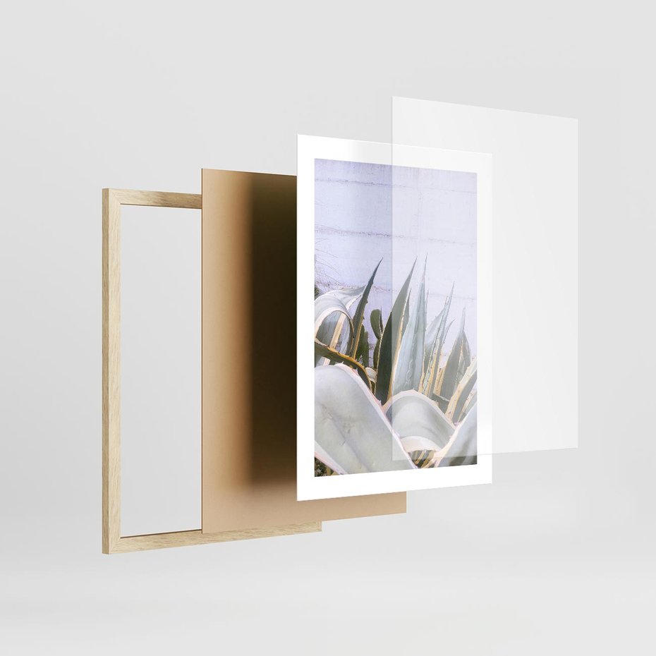 Plakat w ramie 30x40 - Sukulentowe liście - liście, sukulenty - rama drewno