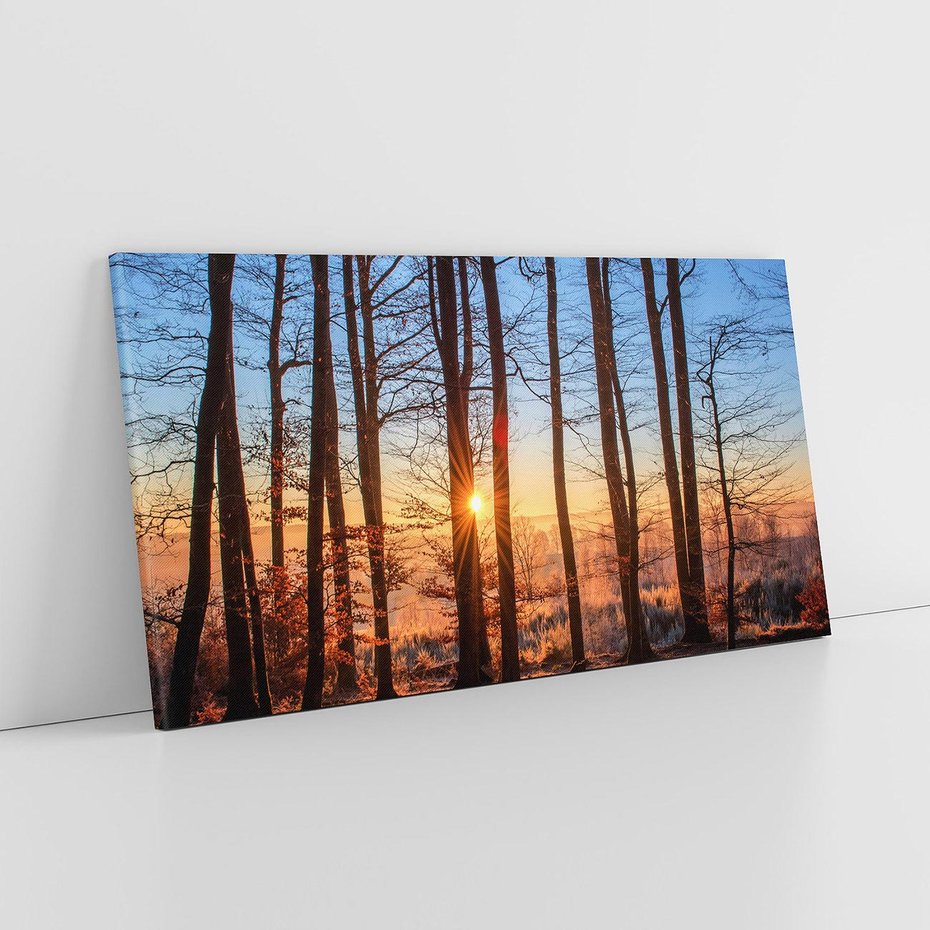 Obraz na płótnie 120x60 - Zachód słońca w jesiennym lesie - zachód słońca,