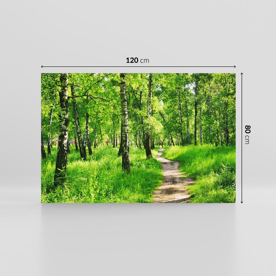 Obraz na płótnie 120x80 - odkryj piękno drzew - las, drzewa