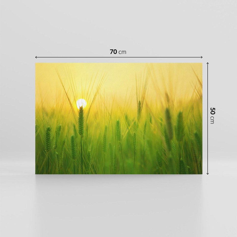 Obraz na płótnie 70x50 - Zboże w kłosach: Oda do plonów natury - zboże, kłos