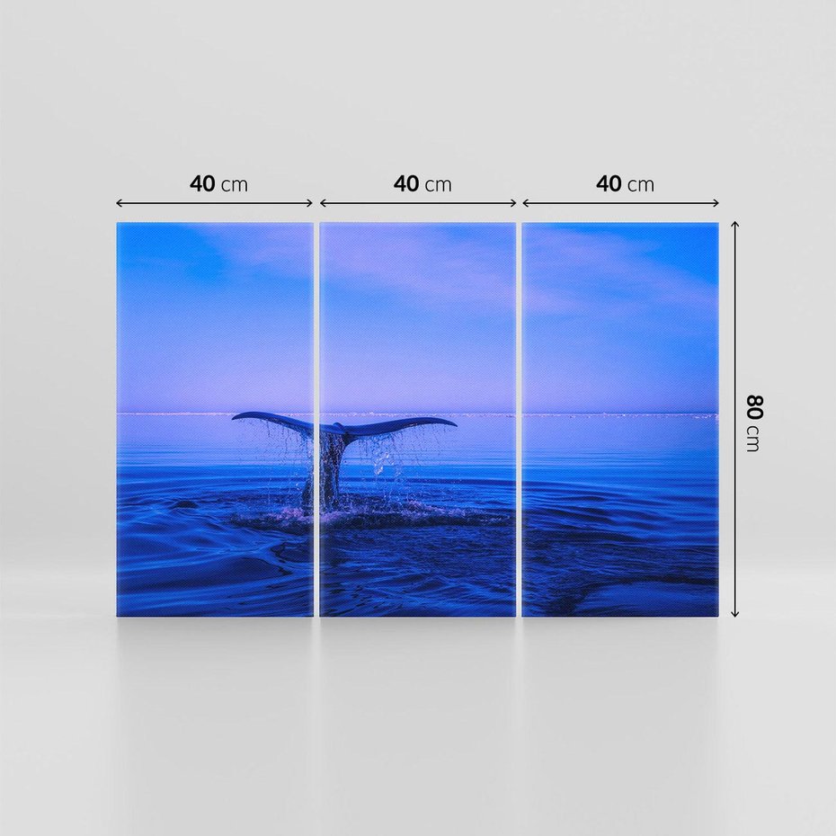 Obraz na płótnie 120x80 - Morze, fale i skały - wieloryb, morze