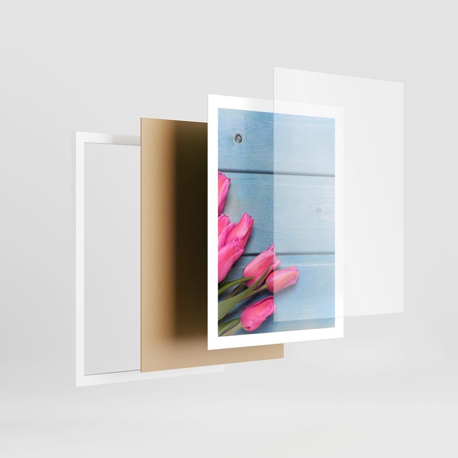 Plakat w ramie 50x70 - Piękno w pełnym rozkwicie - kwiaty, tulipany - rama biała