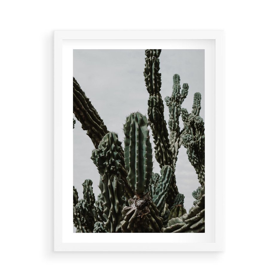 Plakat w ramie 50x70 - Boho oaza wśród kaktusów - kaktusy, pustynia - rama biała