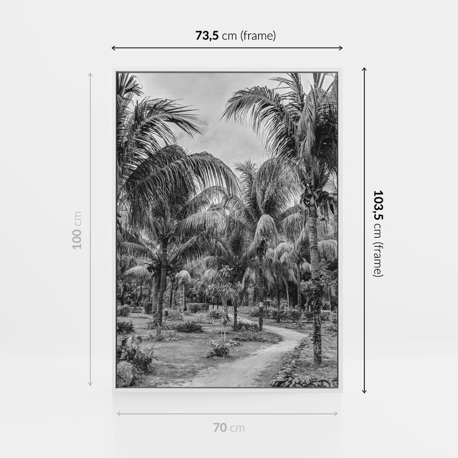 Obraz w ramie 70x100 - Mroczna Ścieżka Tropików - czarno biała fotografia, ścieżka pośród palm - rama biała