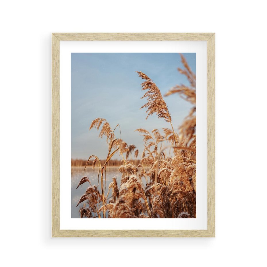 Plakat w ramie 40x50 - Wyraz Stylu - trawy, boho - rama drewno