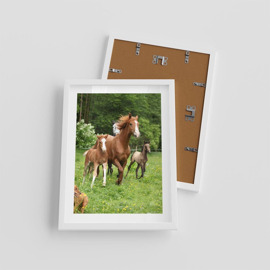 Plakat w ramie 30x40 - Galopujące konie - konie, galop - rama biała