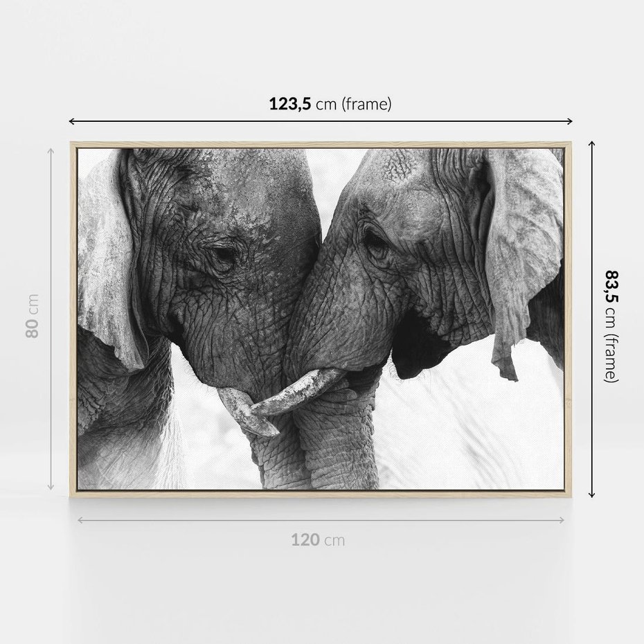 Obraz w ramie 120x80 - Spotkanie Mądrości - fotografia czarno biała, dwa słonie - rama drewno