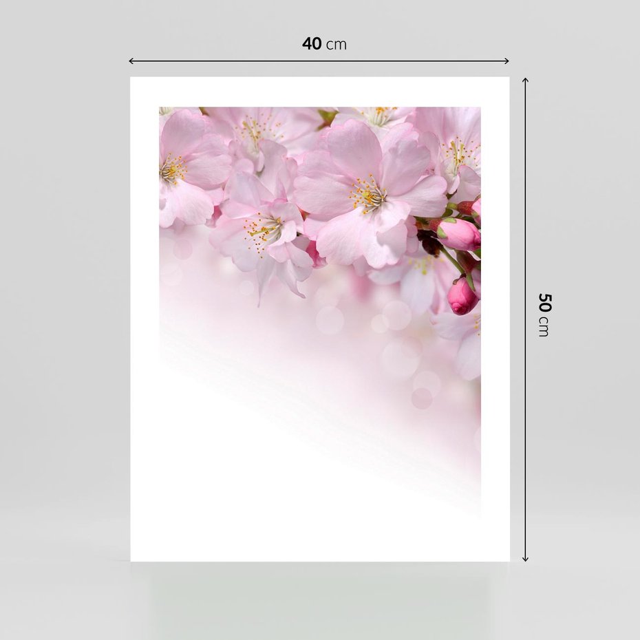 Plakat bez ramy 40x50 - Kwitnąca Wiśnia - kwiaty, kwitnącej