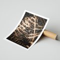 Plakat bez ramy 30x40 - Liście i Paprocie - suche liście, paprocie