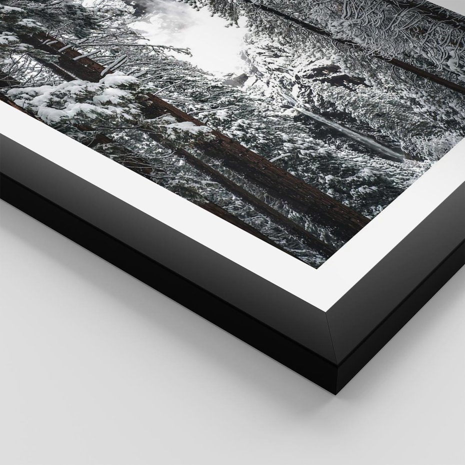 Plakat w ramie 50x70 - Cicha Magia Zimowego Lasu - zimowy las, ośnieżone drzewa - rama czarna