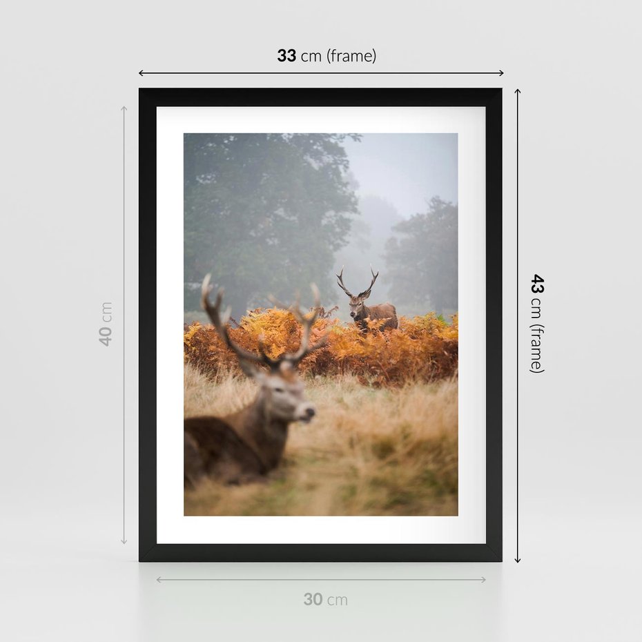 Plakat w ramie 30x40 - Malownicza Harmonia - jelenie, jesień - rama czarna