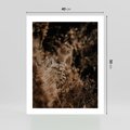Plakat bez ramy 40x50 - Delikatne Detale - paprocie, brąz