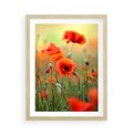 Plakat w ramie 50x70 - Makowa Pasja - maki, kwiaty - rama drewno