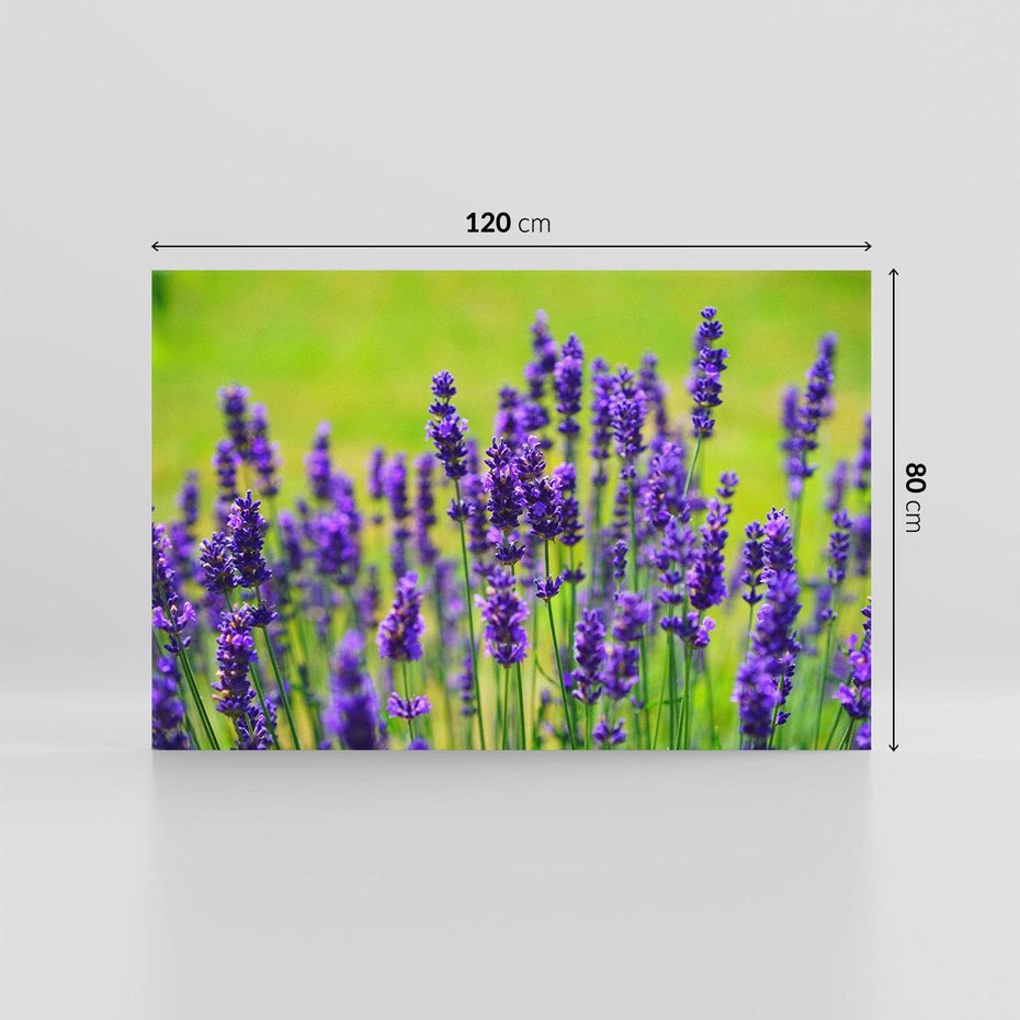 Obraz na płótnie 120x80 - Lawenda w naturze - lawenda, kwiaty