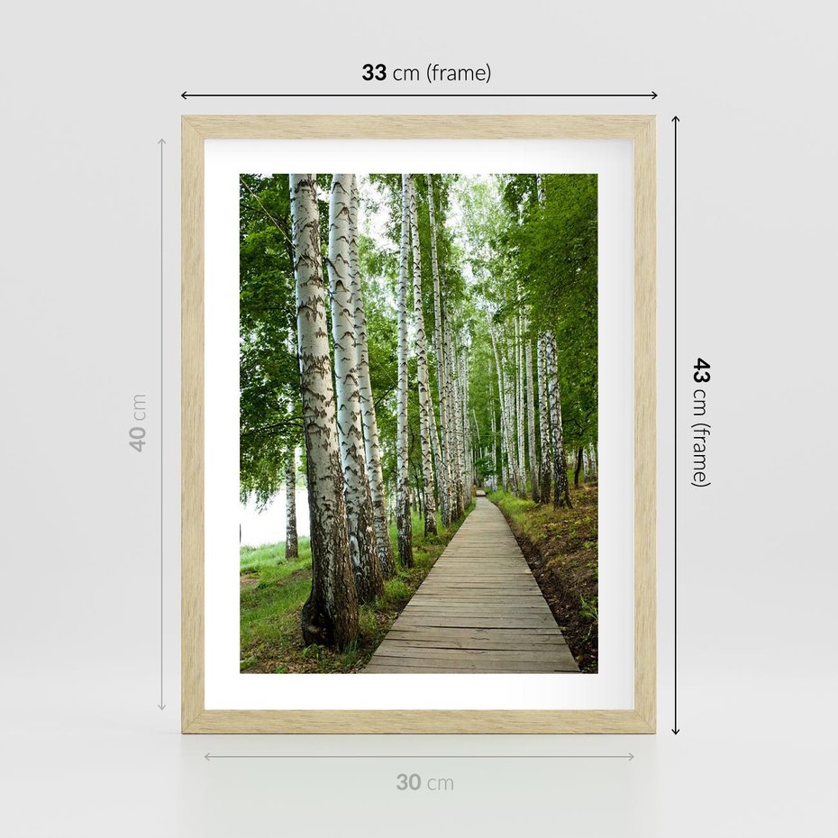 Plakat w ramie 30x40 - Spacer ścieżką przez brzozowy las - las, ścieżka - rama drewno