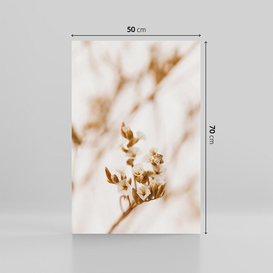 Obraz na płótnie 50x70 - Kwiatowa suchość - kwiaty, susz