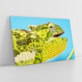 Obraz na płótnie 100x70 - Kameleon w swoim świecie - kameleon, jaszczurka