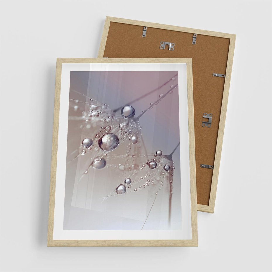 Plakat w ramie 50x70 - Delikatne Natchnienie - krople, dmuchawce - rama drewno