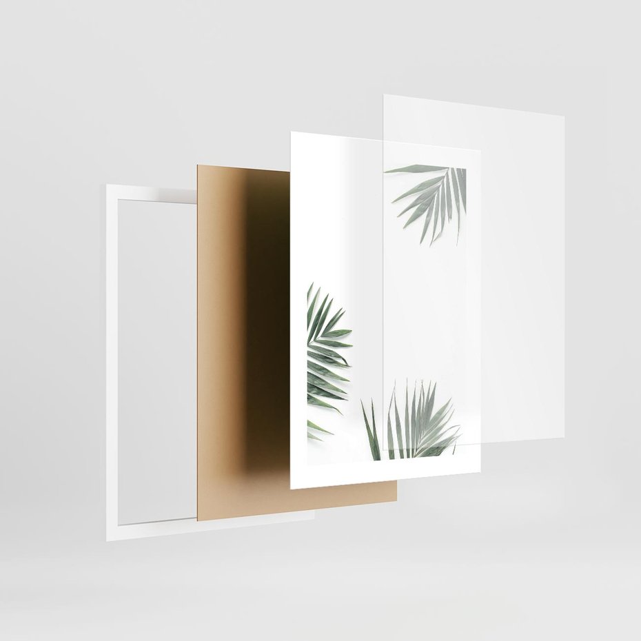 Plakat w ramie 30x40 - Liście Palmy na Czystym Tle - liście palmy, białe tło - rama biała