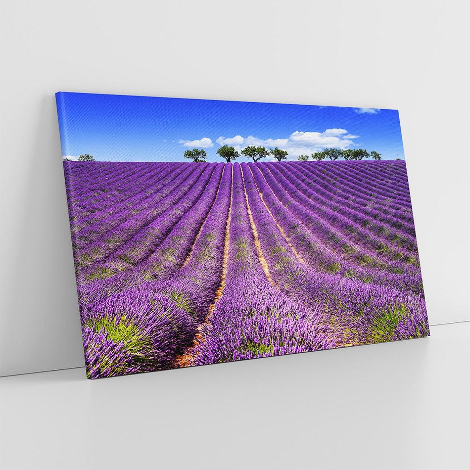 Obraz na płótnie 120x80 - pola wonnych kwiatów - lawenda, kwiaty