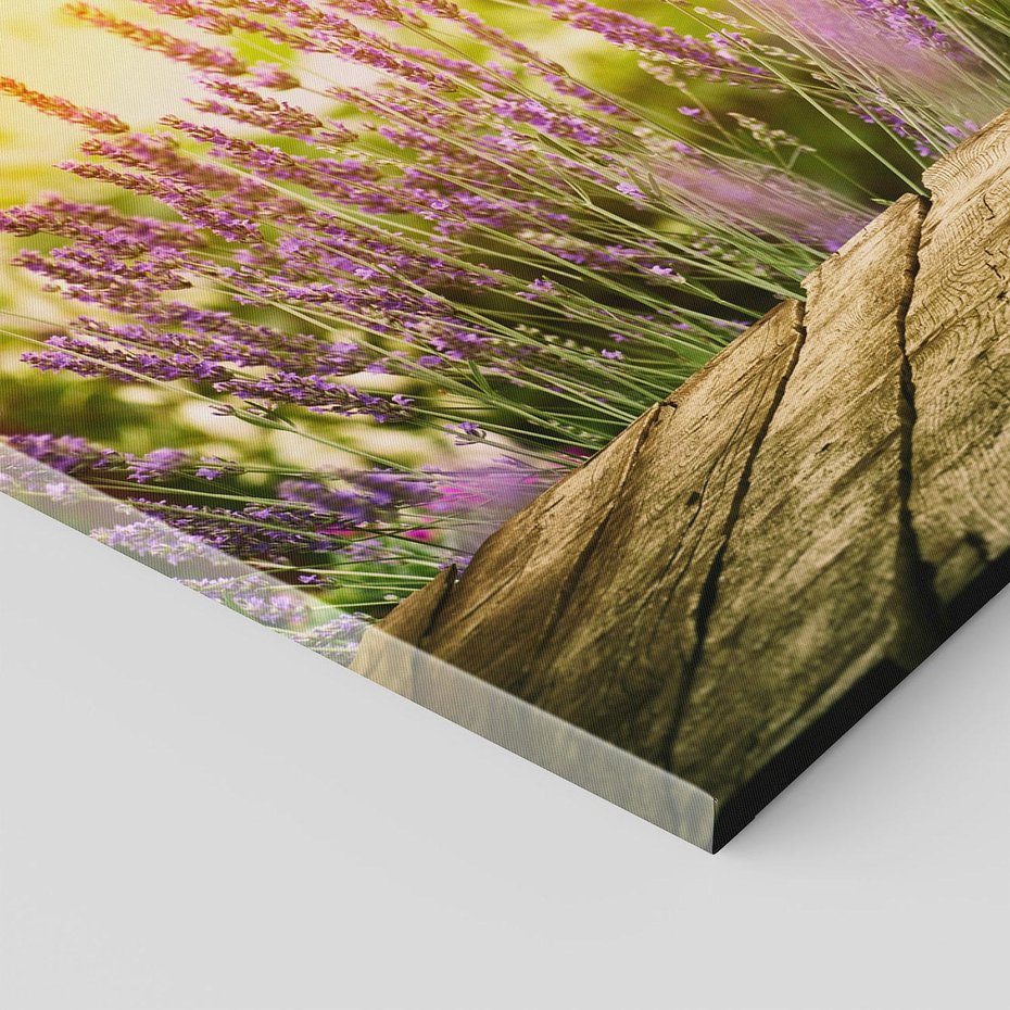 Obraz na płótnie 120x80 - Delikatność i Urok - lawenda, kwiat