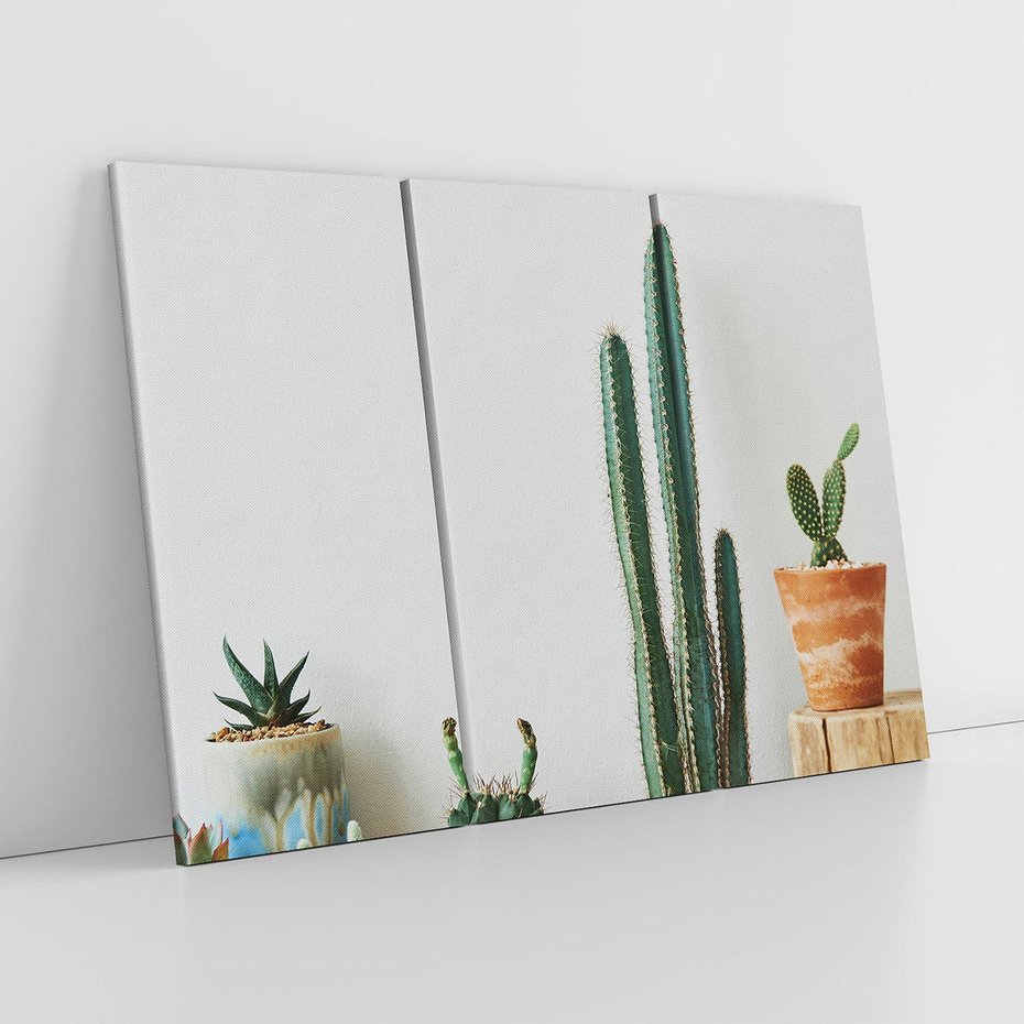 Obraz na płótnie 120x80 - Naturalna Harmonia - kaktusy, liście