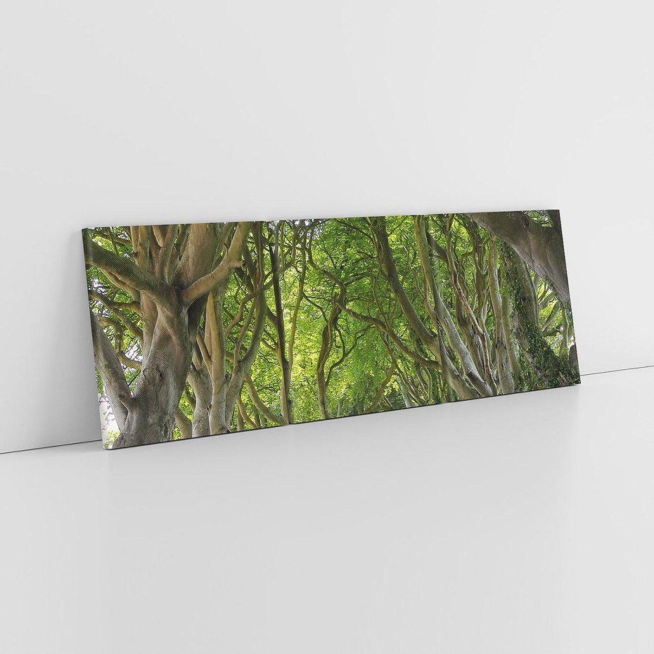 Obraz na płótnie 120x40 - Magiczny Las - drzewa, las