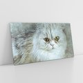 Obraz na płótnie 100x50 - Zwierzęca abstrakcja: Kot - kot, zwierzę