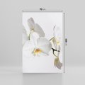 Obraz na płótnie 70x100 - Orchidea Kwiat - orchidea, kwiat