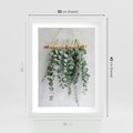 Plakat w ramie 30x40 - Uwodzicielska zieleń eukaliptusa - eukaliptus, zielone - rama biała