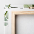 Obraz na płótnie 30x30 - Zielone eukaliptusy - eukaliptus, liście