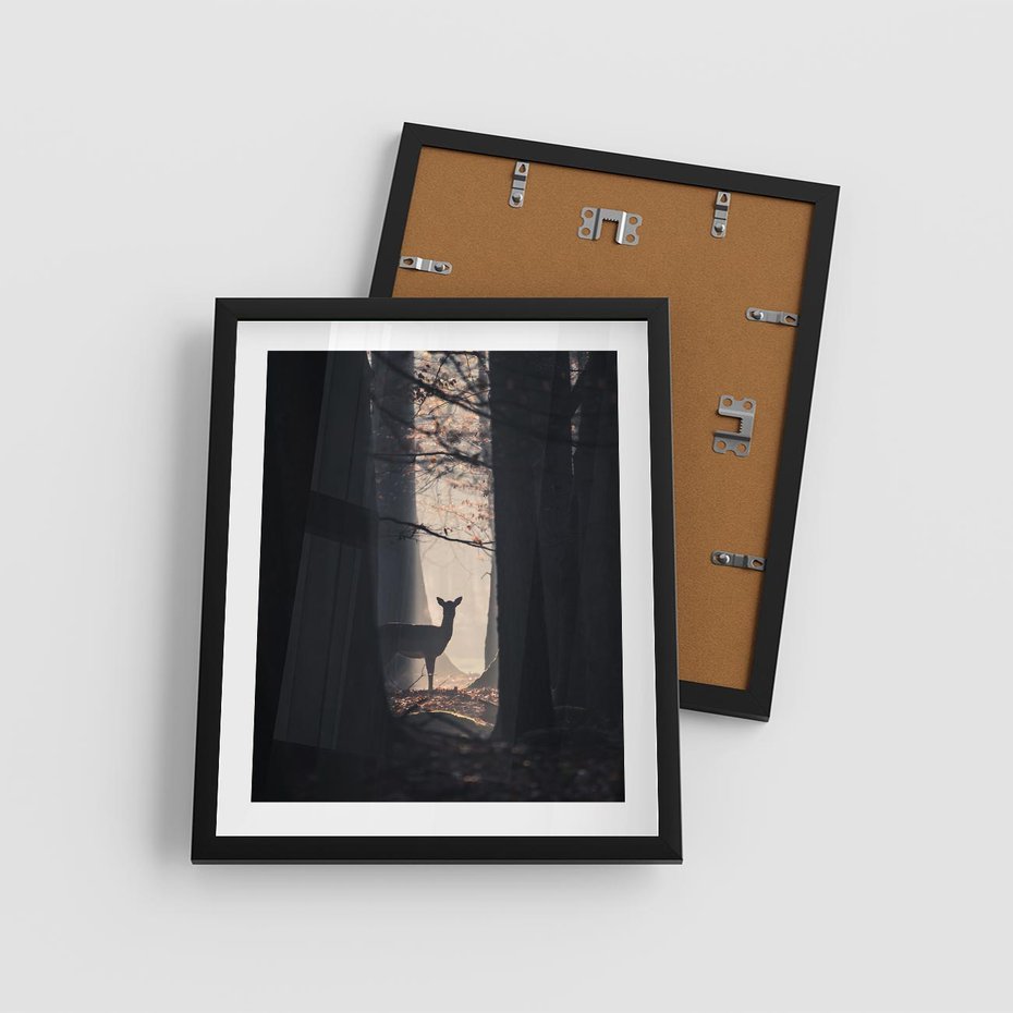 Plakat w ramie 40x50 - Sarnie Skoki - zdjęcie, klimatyczny las - rama czarna