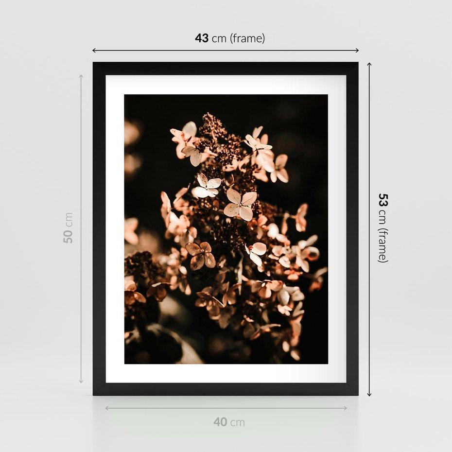 Plakat w ramie 40x50 - Hortensja - Suchy Kwiat w Sztuce - hortensja, suchy kwiat - rama czarna