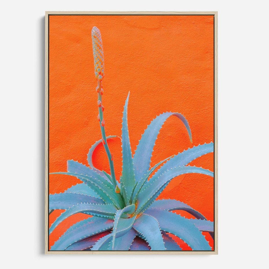 Obraz w ramie 50x70 - Naturalna Harmonia - kaktusy, liście - rama drewno