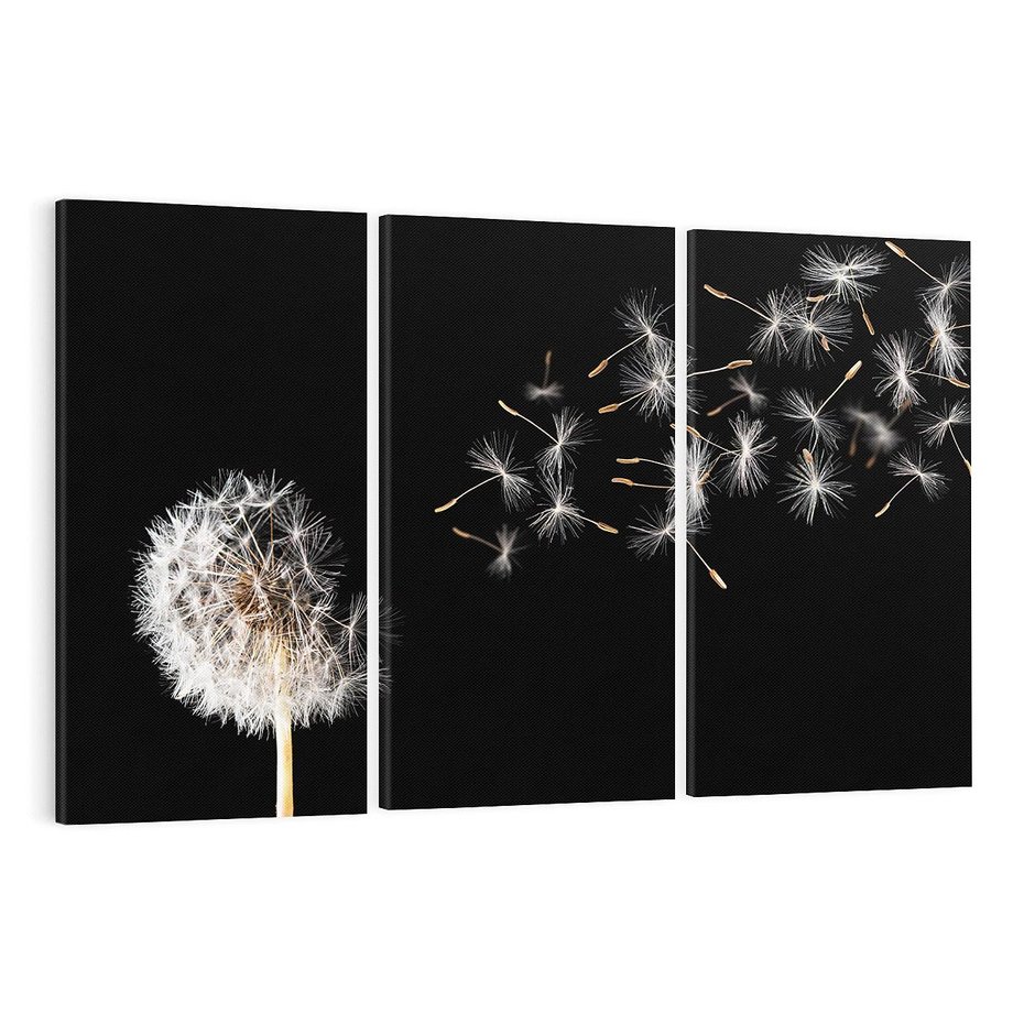 Obraz na płótnie 120x80 - Delikatne płatki dmuchawca - dmuchawiec, kwiaty