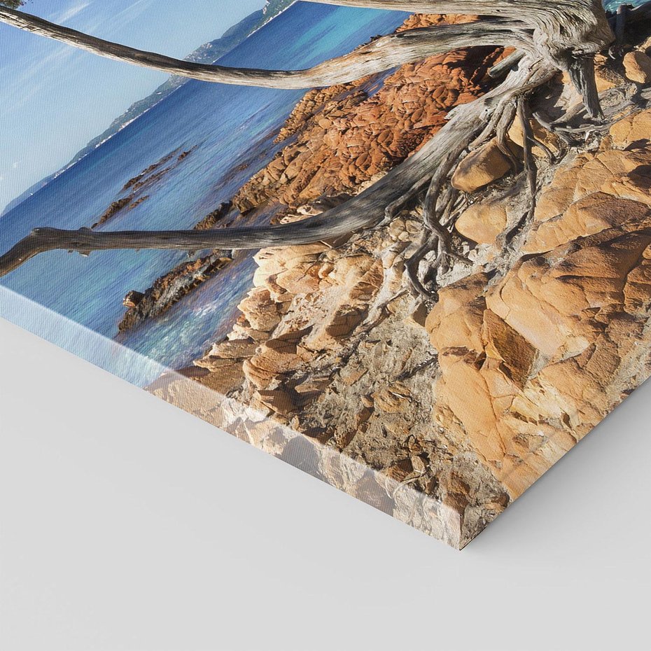 Obraz na płótnie 70x100 - Korsyka - morze i drzewa - Korsyka, morze