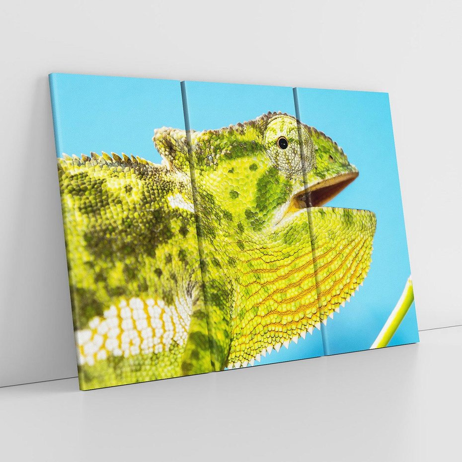 Obraz na płótnie 120x80 - Kameleon w swoim świecie - kameleon, jaszczurka