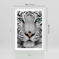 Plakat w ramie 50x70 - Magia Białego Tygrysa - biały, tygrys - rama biała