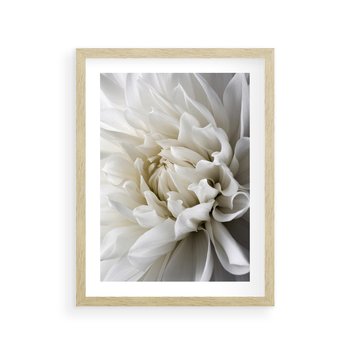 Plakat w ramie 40x50 - Białe Kwiaty Delikatności - białe, kwiaty - rama drewno