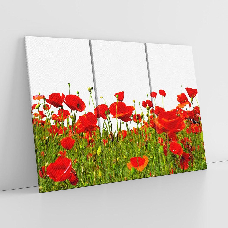 Obraz na płótnie 120x80 - Bujne maki na malowniczej łące - mak, maki