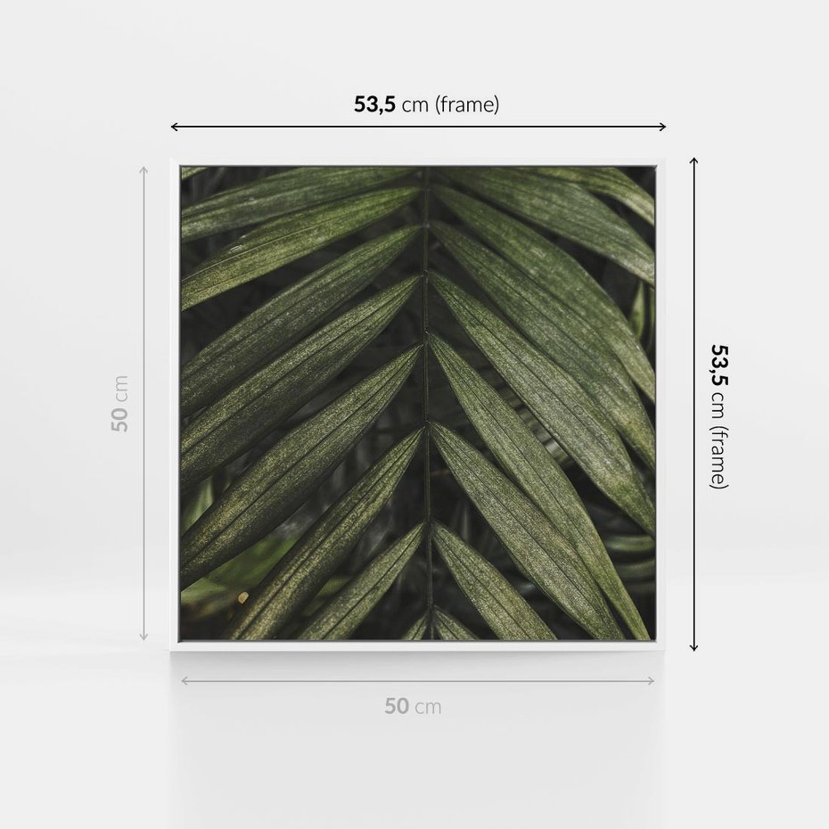 Obraz w ramie 50x50 - W Liściach Ukryte - zdjęcie, fotografia - rama biała