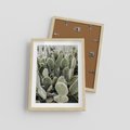Plakat w ramie 30x40 - Kaktusowa Harmonia - kaktusy, fotografia - rama drewno