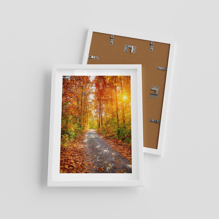 Plakat w ramie 30x40 - Kolorowe drzewa na ścieżce jesieni - las, jesień - rama biała