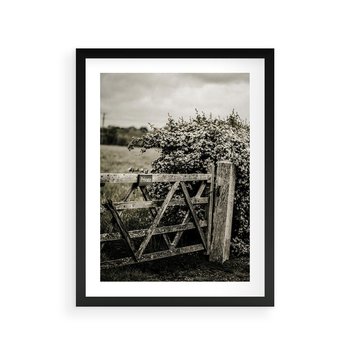 Plakat w ramie 30x40 - Wiejski Urok: Stary Płot i Kwitnący Krzew - rustykalne zdjęcie, stary płot - rama czarna