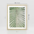 Plakat w ramie 40x50 - Jasna Zieleń Palmy - liść palmy, zbliżenie - rama drewno