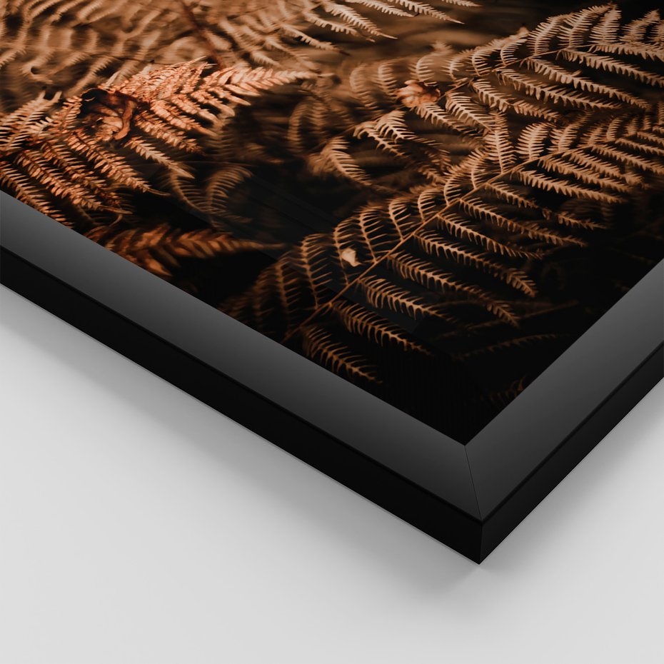 Zestaw obrazy w ramie 40x50 galeria - Bogo, jesienny, las, paprocie - rama czarna