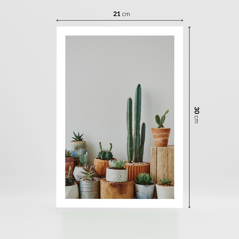 Plakat bez ramy 21x30 - Naturalna Harmonia - kaktusy, liście