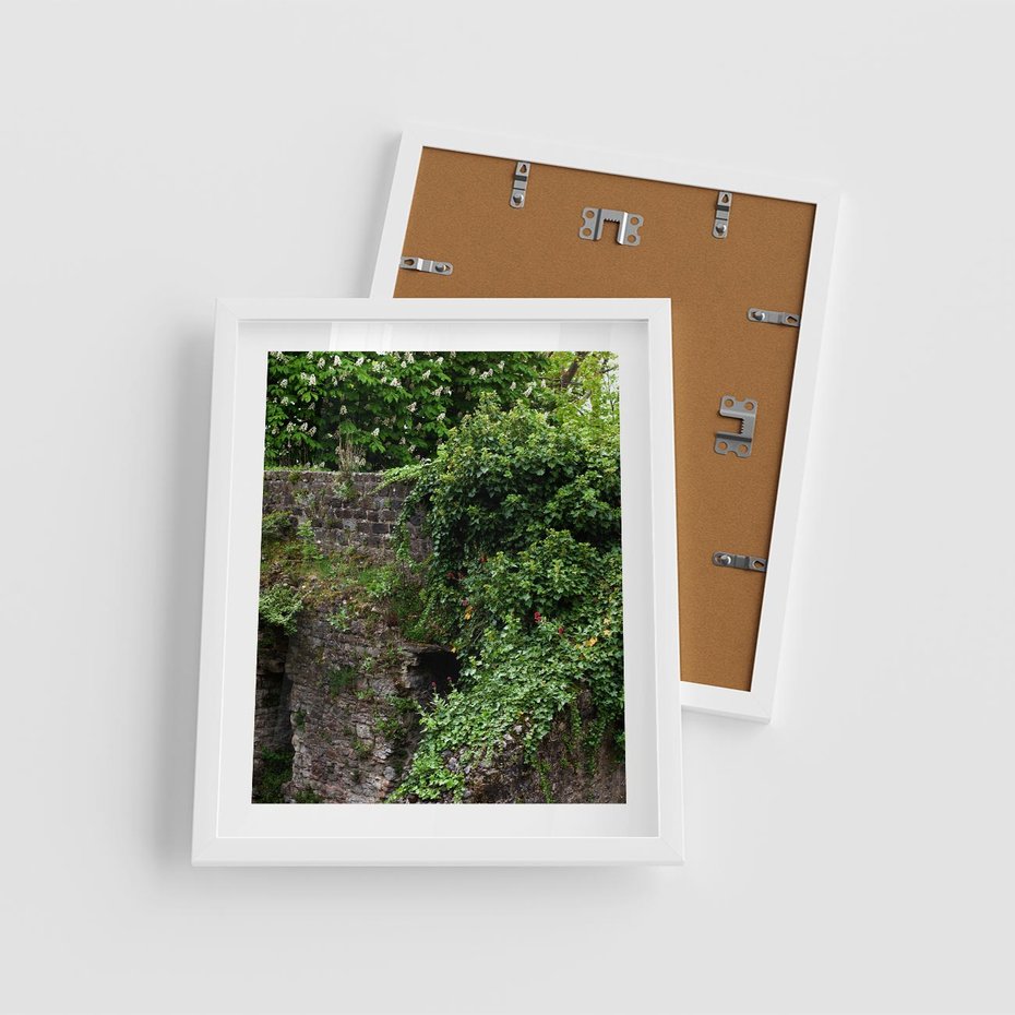 Plakat w ramie 40x50 - Żywiołowa Zieleń - mur, liście - rama biała