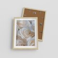 Plakat w ramie 30x40 - Białe róże piękności - białe, róże - rama drewno